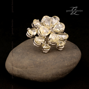 Shades of Joy | La Rosa 44