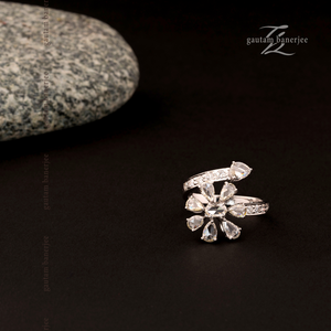 Shooting Star | La Rosa 59