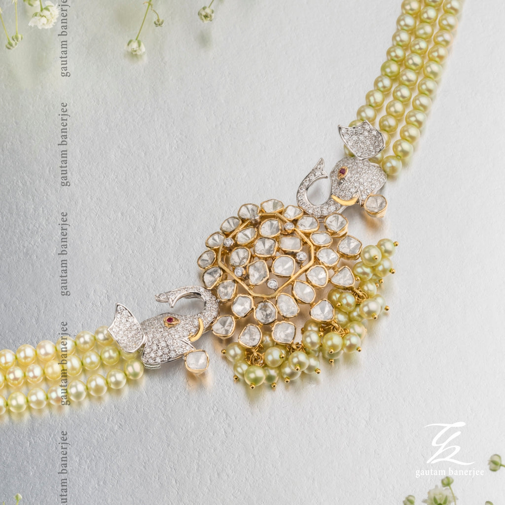 Royal Rendezvous | NC008