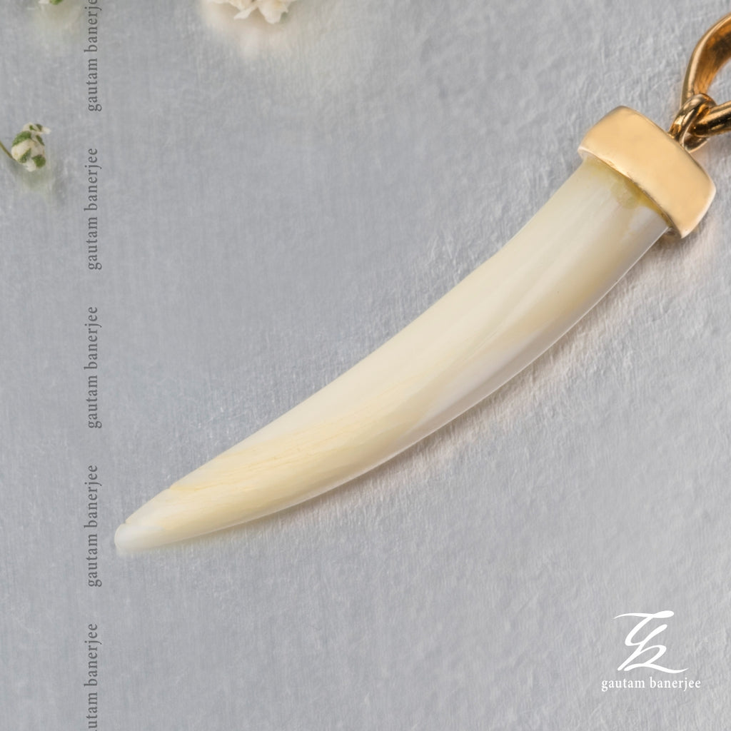 Fierce & Fearless  | PN004